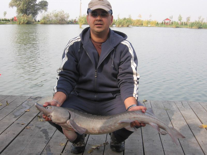 Kep 059.jpg